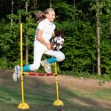 Hobby Horse Skippi A5 tarantowaty - biało brązowy - prezent dzień dziecka Skippi