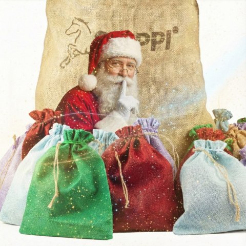 Zestaw Świąteczny Hobby Horse - The Best of Skippi - gniado-srokaty Skippi